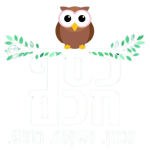 טקסט הפסקה שלך